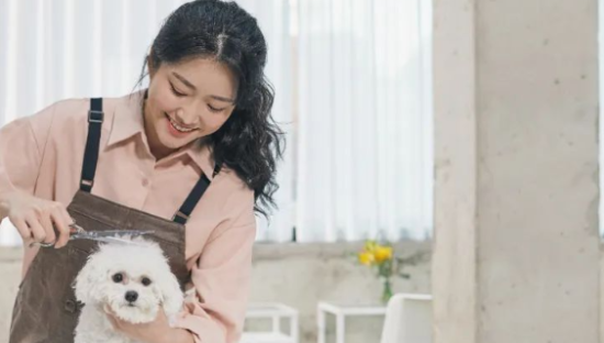 宠物也过年！寄养7天花3个月“生活费”，商家订单翻倍