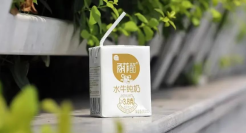 水牛奶火到咖啡店，但会像螺蛳粉一样走向全国吗？