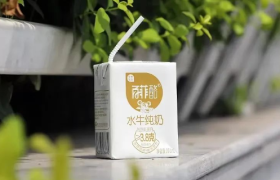 水牛奶火到咖啡店，但会像螺蛳粉一样走向全国吗？