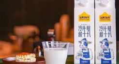 你还敢认养一头牛吗？