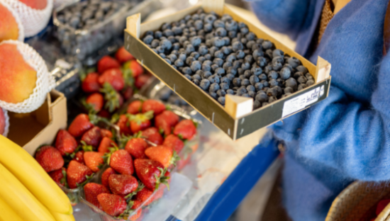 生鲜巨变：每日优鲜、叮咚买菜、盒马“分道扬镳”？