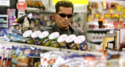 坚果大佬的七年之痒