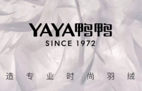 鸭鸭翻红：营销的流星还是产品的寿星？