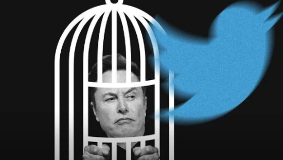 推特“姓马”100天：混乱、眼泪与机遇