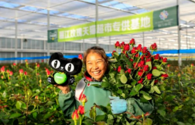 鲜花电商的春天来了吗？