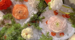 抢滩她经济与情人节，“电商鲜花”未来可期？