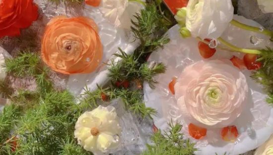 抢滩她经济与情人节，“电商鲜花”未来可期？