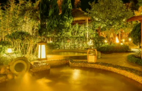 新年开门红，这家温泉酒店是如何做到几天爆售近40W的？