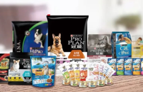 雀巢，2023新中带稳