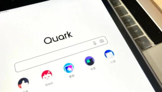 夸克成长的烦恼：被抄袭、盗用