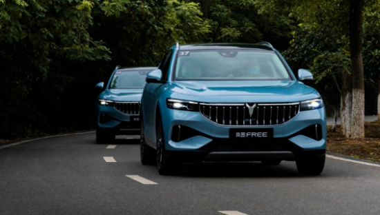 岚图，难有“蓝图”