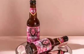 50元“玻尿酸啤酒”开卖，女性的钱这么好赚？