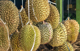 年轻人的“榴莲自由”，让中间商赚麻了