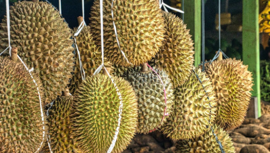 年轻人的“榴莲自由”，让中间商赚麻了
