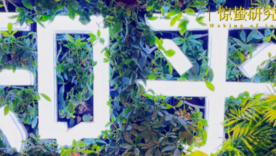 知乎还有“市场”吗？