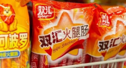 正在消失的中国火腿肠