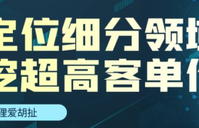 狐狸：定位细分领域，找超高客单价产品的方法！