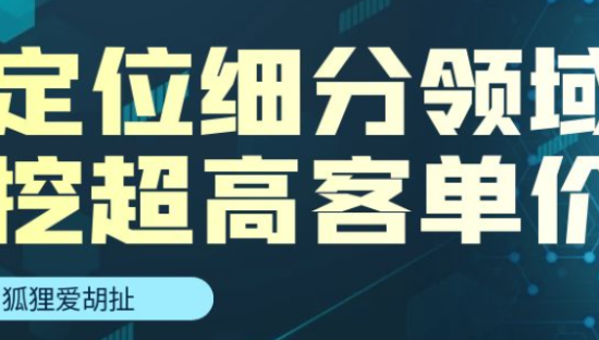 狐狸：定位细分领域，找超高客单价产品的方法！