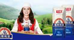 光明乳业，输在不够骚