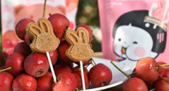 休闲零食赛道进入存量市场：良品铺子用“高质量成长”突围