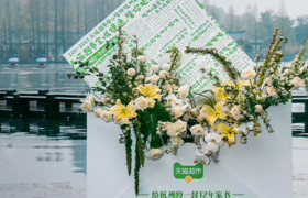 天猫超市半日达：一封给杭州的12年家书