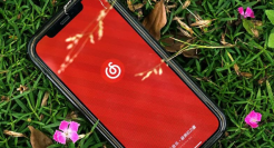 谁在用网易云音乐？