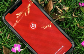 谁在用网易云音乐？