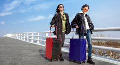 倒下的旅行社又活过来了