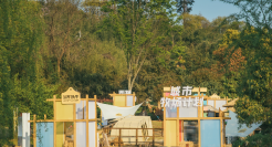 认养一头牛：这个春天，把奶牛养在了城市