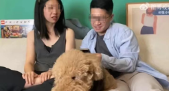 清华北大的网红们，彻底翻车了