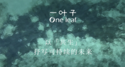 一叶子发布态度片，以“共生”抒写可持续的未来