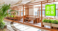 打响加盟，奈雪真急了！