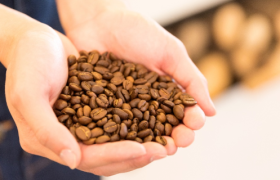 咖饮赛道疯狂内卷，云南咖啡豆却还在“陪跑”？