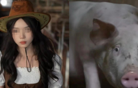 播放量破亿，网红“噶猪少女”才是抖音新顶流！