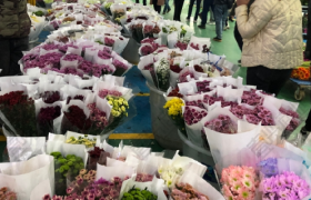 鲜花电商大洗牌：39元买一箱，价格战“卷”麻了