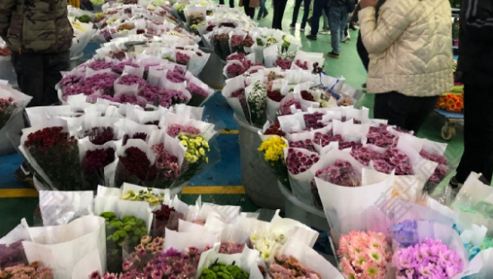 鲜花电商大洗牌：39元买一箱，价格战“卷”麻了