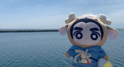 棉花娃娃，盲盒真比不了