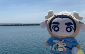 棉花娃娃，盲盒真比不了