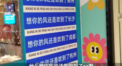 网红打卡点，为啥短命？