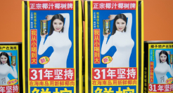 别的品牌擦边都翻车了，为什么椰树不会？