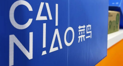 菜鸟晚飞，前程未卜