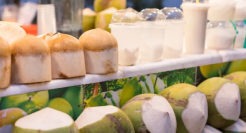 生椰加码，椰子衍生，椰产品消费成为新时尚？