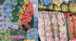 巨头垂涎的鲜花电商，一路打到白菜价