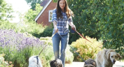 1.1亿只宠物，又要撑起一个IPO？