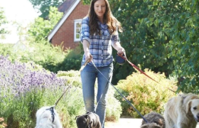 1.1亿只宠物，又要撑起一个IPO？