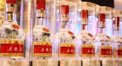 “茅台们”出海，想和洋酒掰手腕