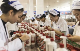 量化茅台：恐怖的印钞机