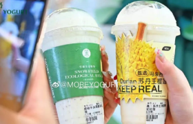 网红“酸奶贵族”，刺痛了中产女性