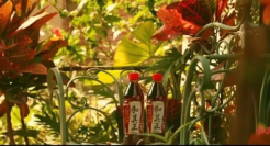 中国“雀巢”达利退市，结局未完待续