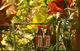 中国“雀巢”达利退市，结局未完待续